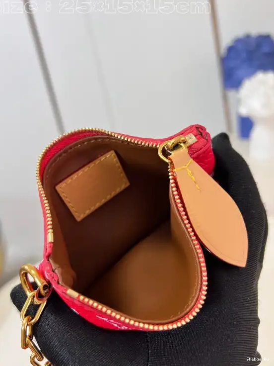 25 Vuitton Louis SPEEDY 0524